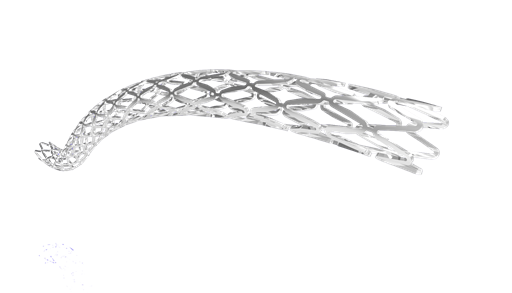 stent 11 .136 - Copy.png